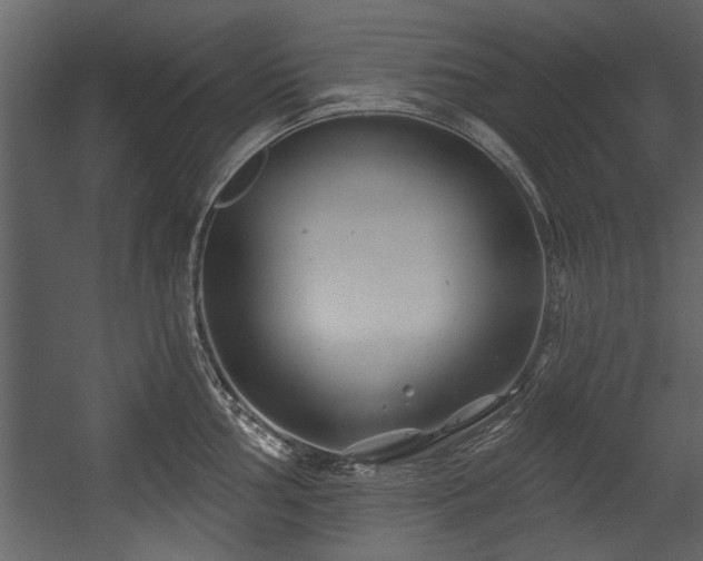 X0000054421002200508011352