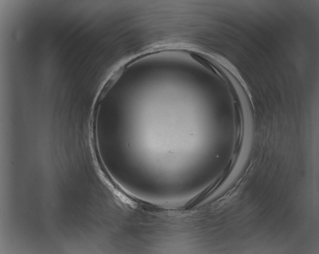 X0000054421005200508011352