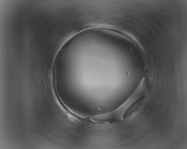 X0000054421007200508011352