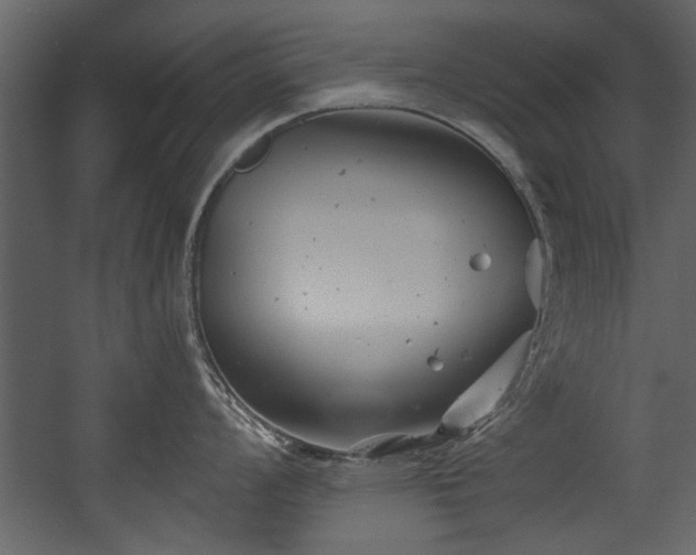 X0000054421008200508011352