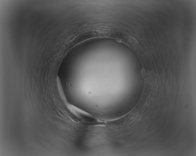 X0000054421009200508011352