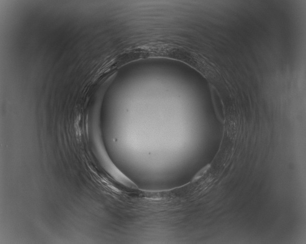 X0000054421010200508011352