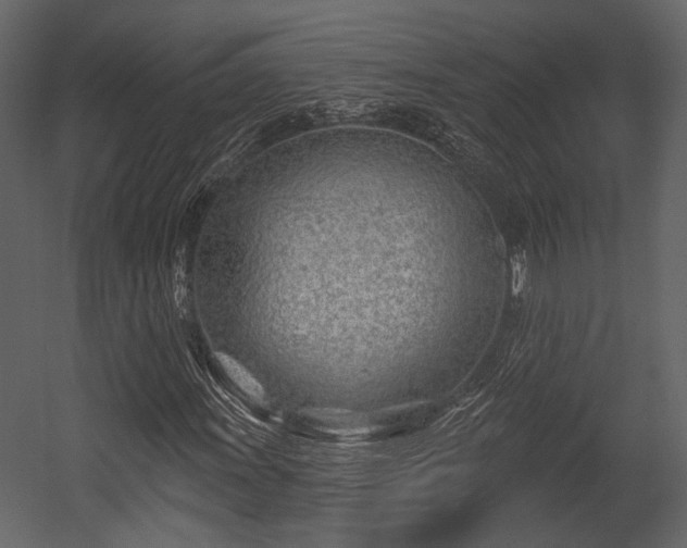 X0000054421011200508011352