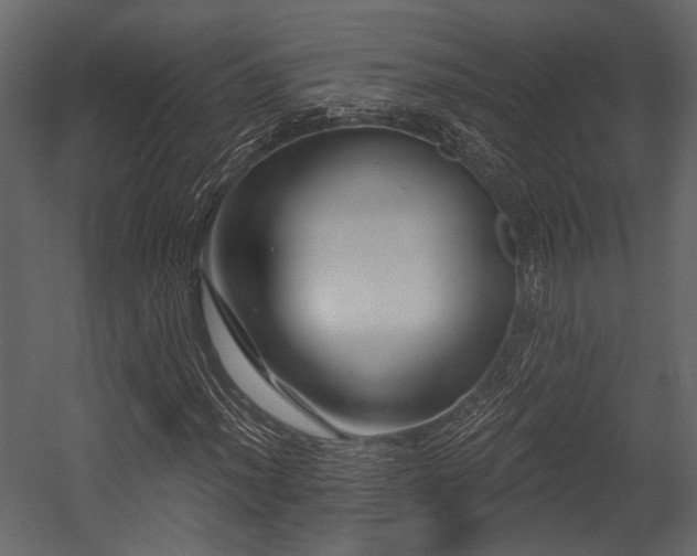 X0000054421012200508011352