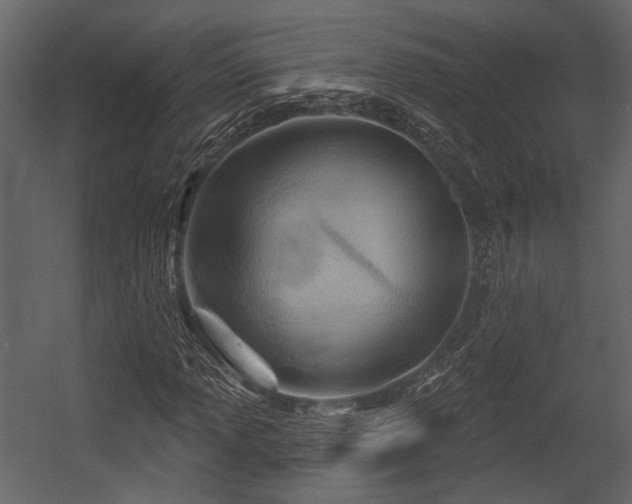 X0000054421013200508011352