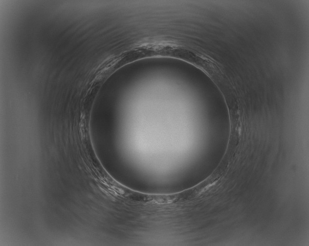 X0000054421014200508011352