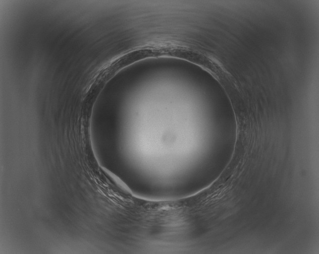 X0000054421016200508011352