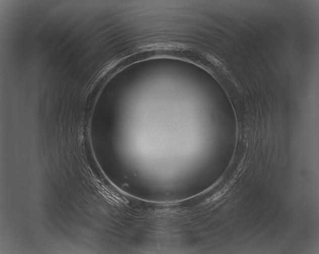 X0000054421017200508011352