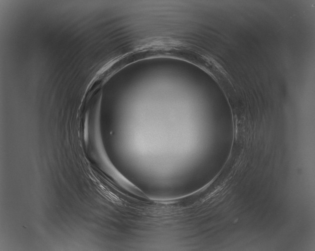 X0000054421018200508011352