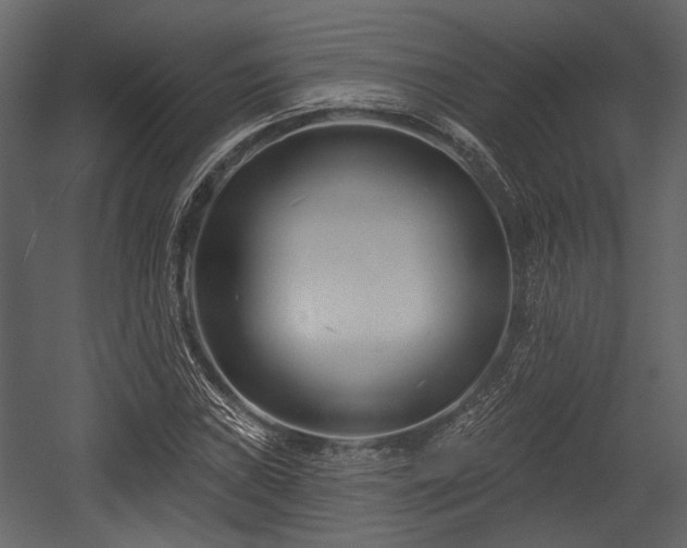 X0000054421019200508011352