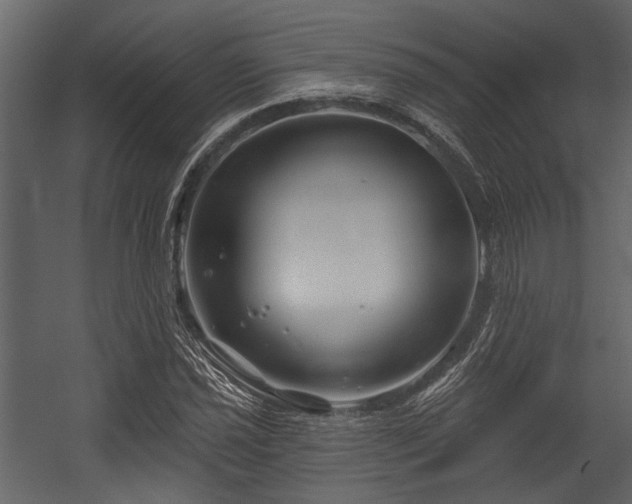 X0000054421021200508011352