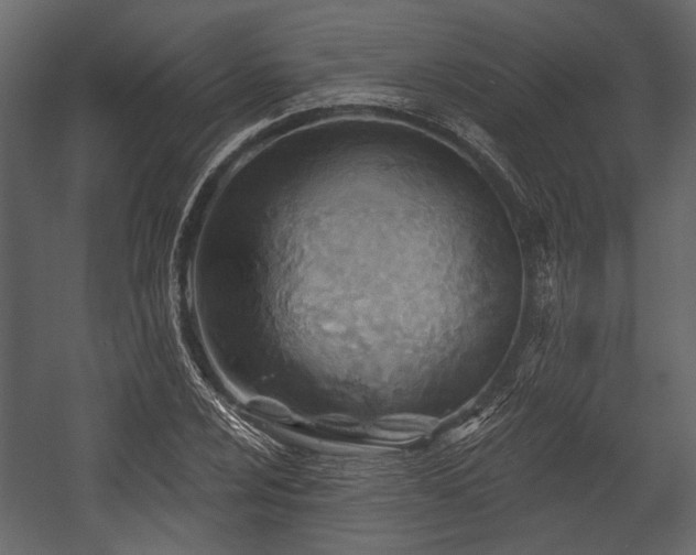 X0000054421024200508011352