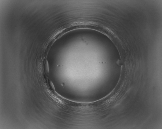 X0000054421025200508011352