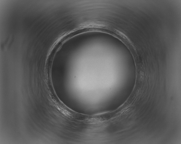 X0000054421027200508011352