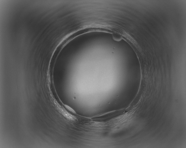 X0000054421028200508011352