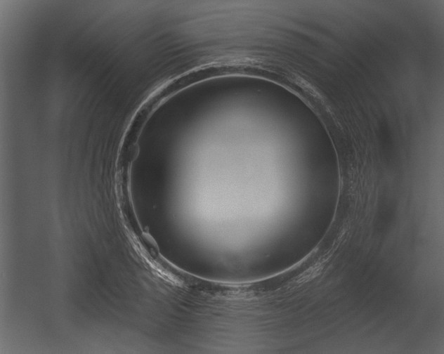 X0000054421029200508011352