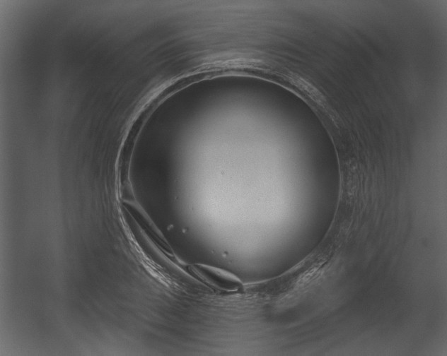 X0000054421031200508011352