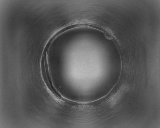 X0000054421032200508011352