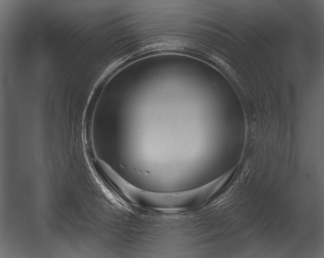 X0000054421034200508011352