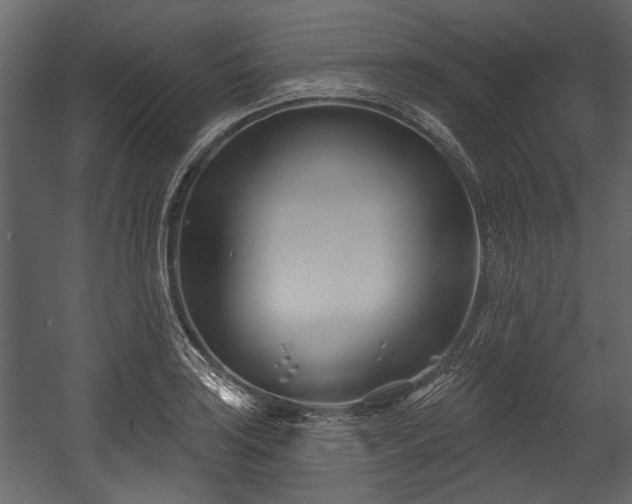 X0000054421035200508011352