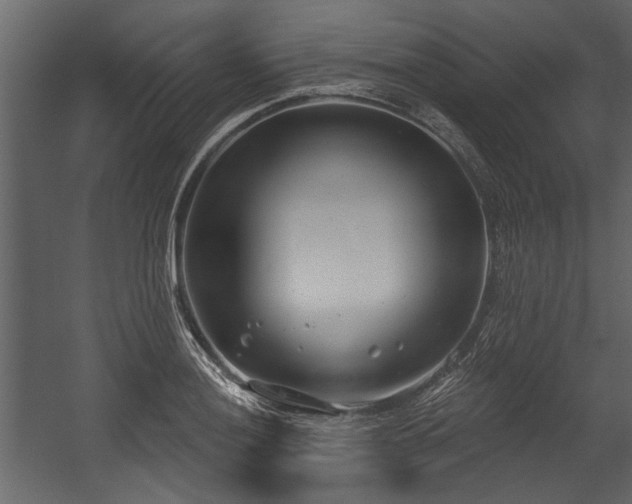 X0000054421036200508011352