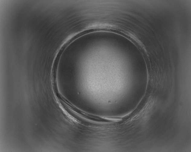 X0000054421037200508011352