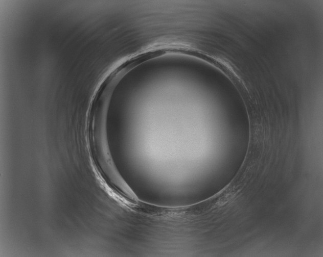 X0000054421038200508011352