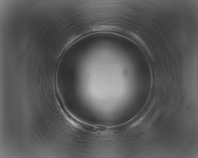 X0000054421041200508011352