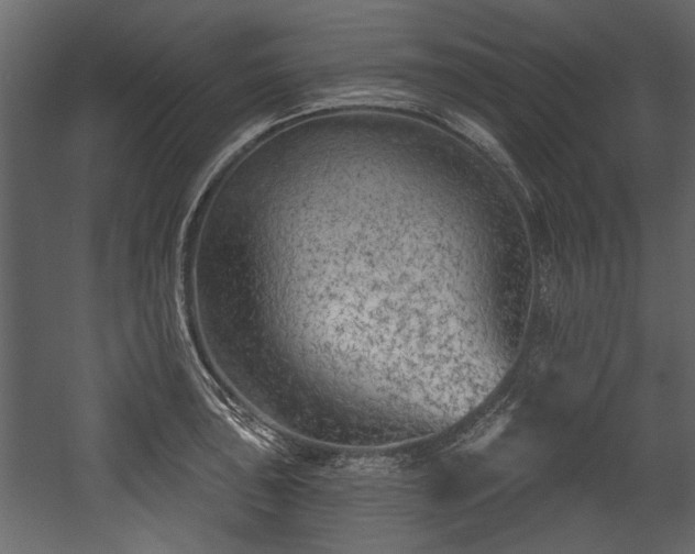 X0000054421043200508011352