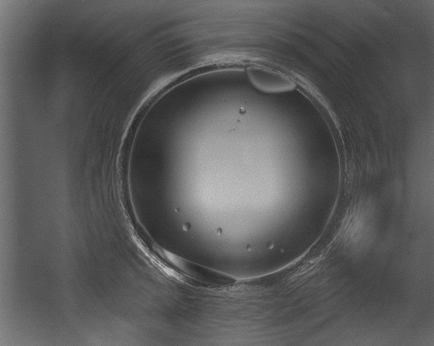 X0000054421045200508011352