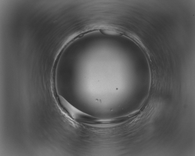 X0000054421048200508011352