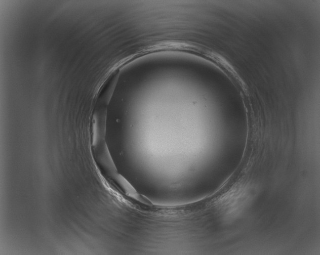 X0000054421049200508011352