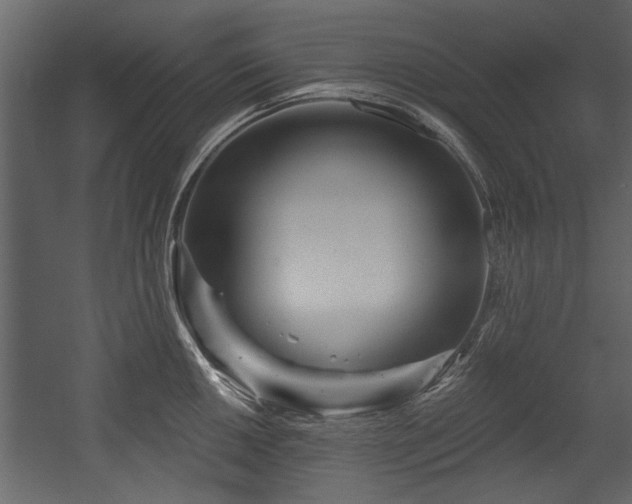 X0000054421050200508011352