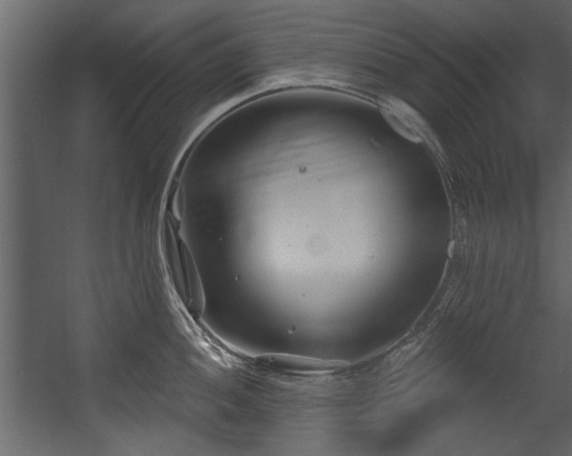 X0000054421052200508011352