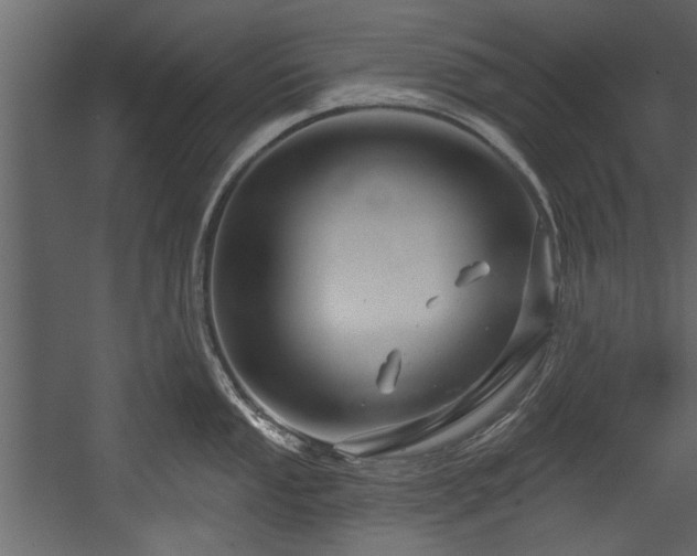 X0000054421053200508011352