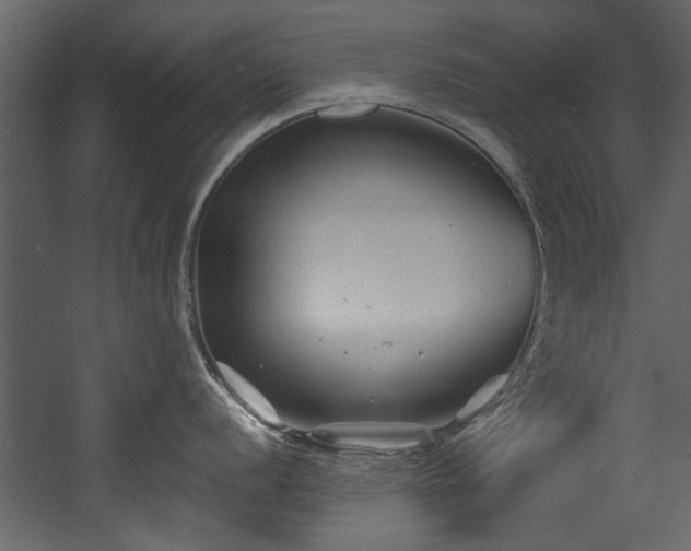 X0000054421056200508011352