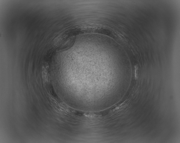 X0000054421059200508011351