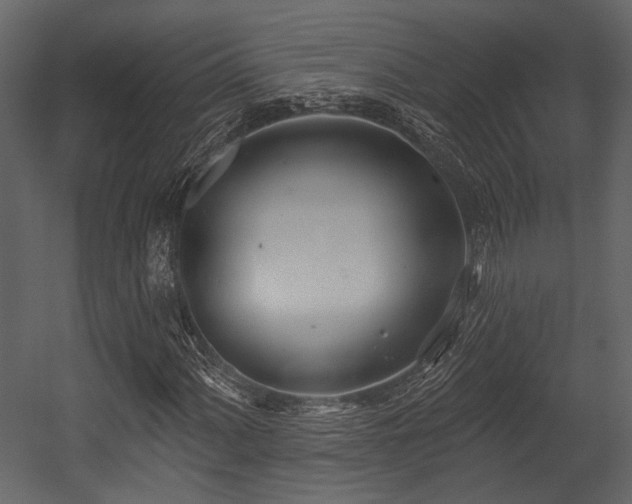 X0000054421060200508011351