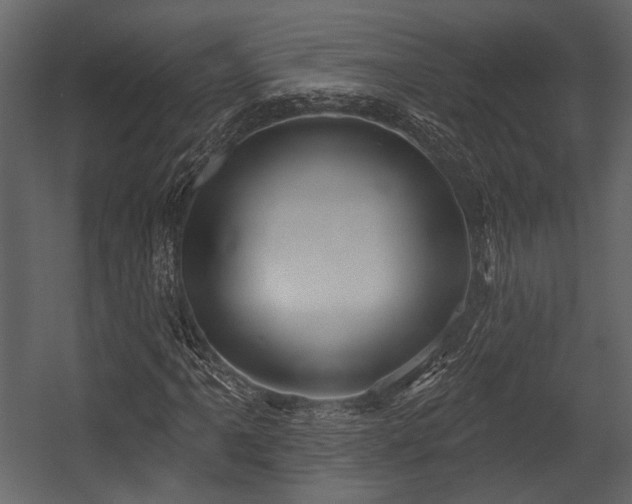 X0000054421061200508011351