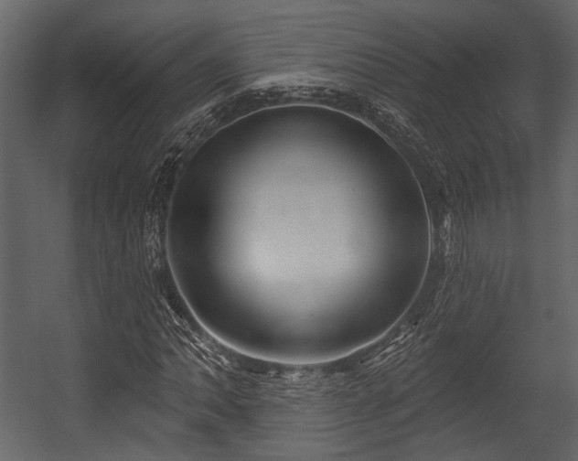 X0000054421062200508011351