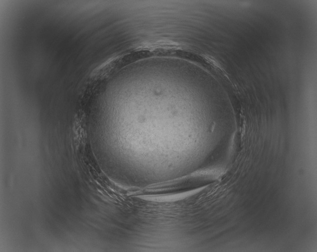 X0000054421063200508011351