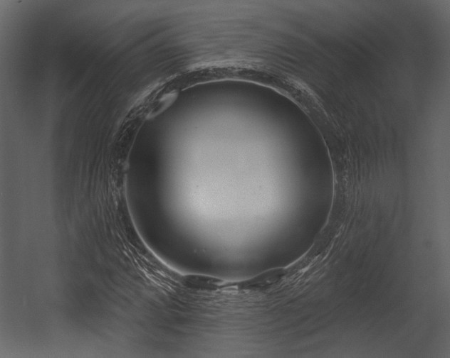 X0000054421064200508011351