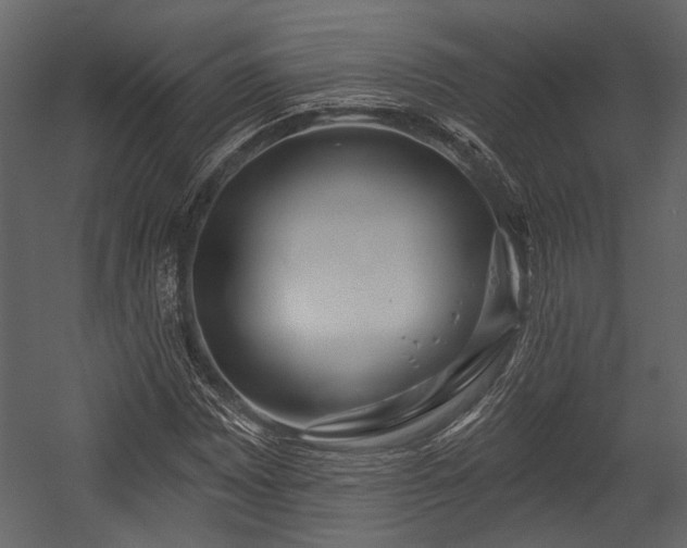 X0000054421065200508011351