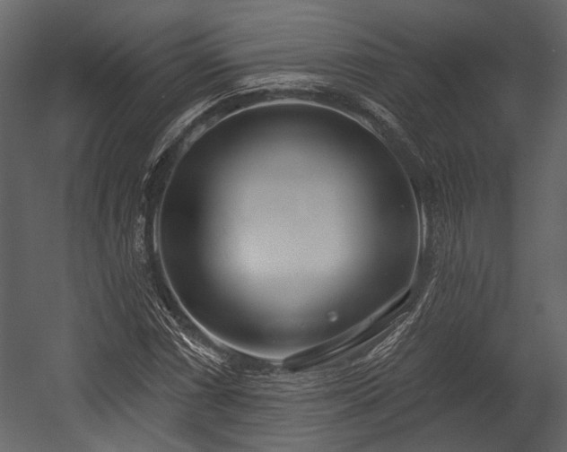 X0000054421066200508011351