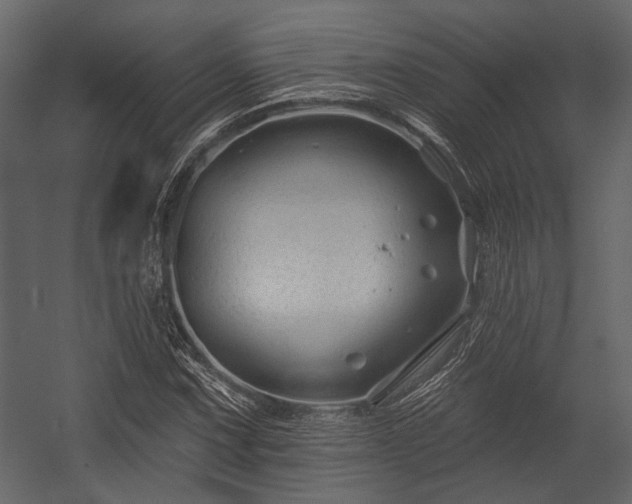 X0000054421067200508011351