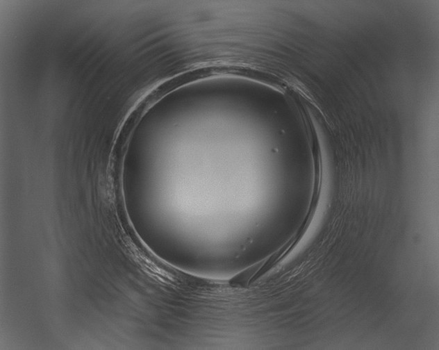 X0000054421068200508011351