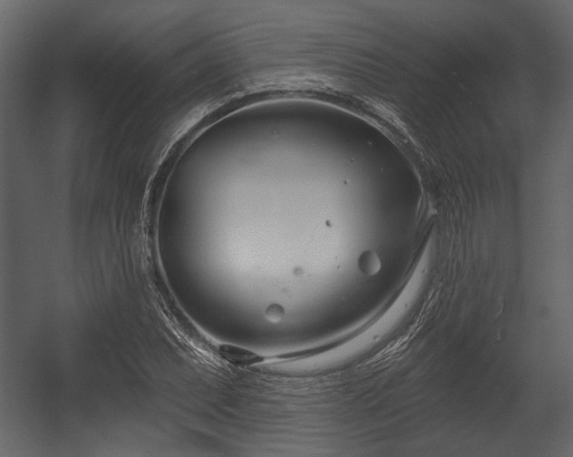 X0000054421071200508011351