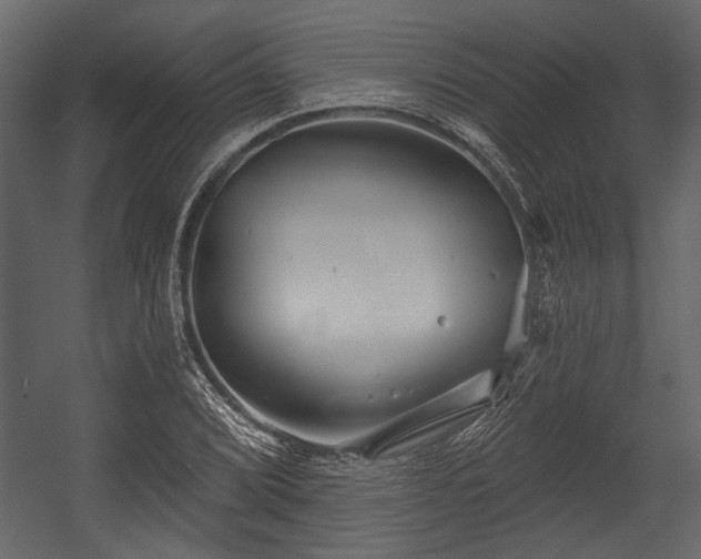 X0000054421072200508011351