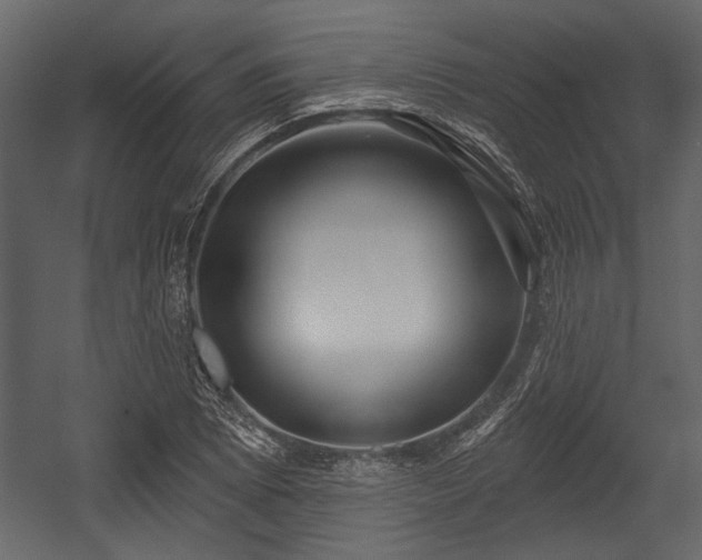 X0000054421073200508011351