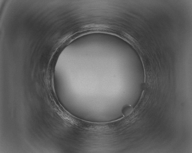 X0000054421074200508011351